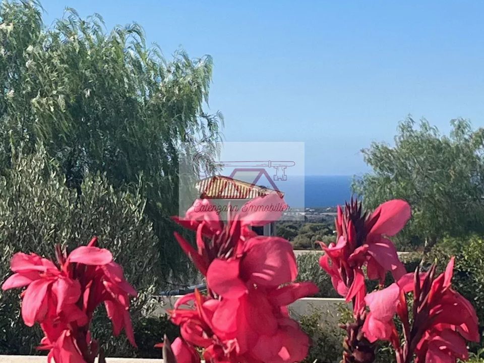 Villa i Calenzana, Haute-Corse - foto 3