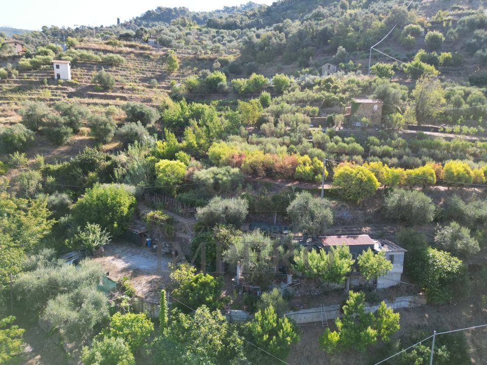 Erhvervsejendom i San Biagio della Cima, Imperia - foto 1