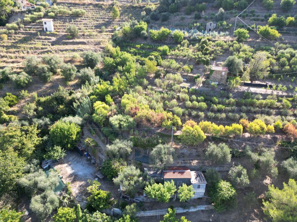 Erhvervsejendom i San Biagio della Cima, Imperia - foto 2