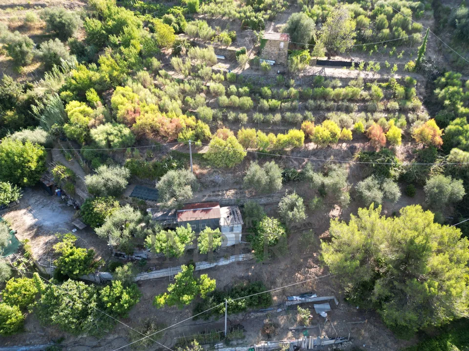 Erhvervsejendom i San Biagio della Cima, Imperia - foto 3