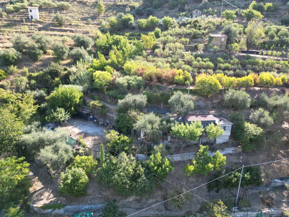 Erhvervsejendom i San Biagio della Cima, Imperia - foto 4