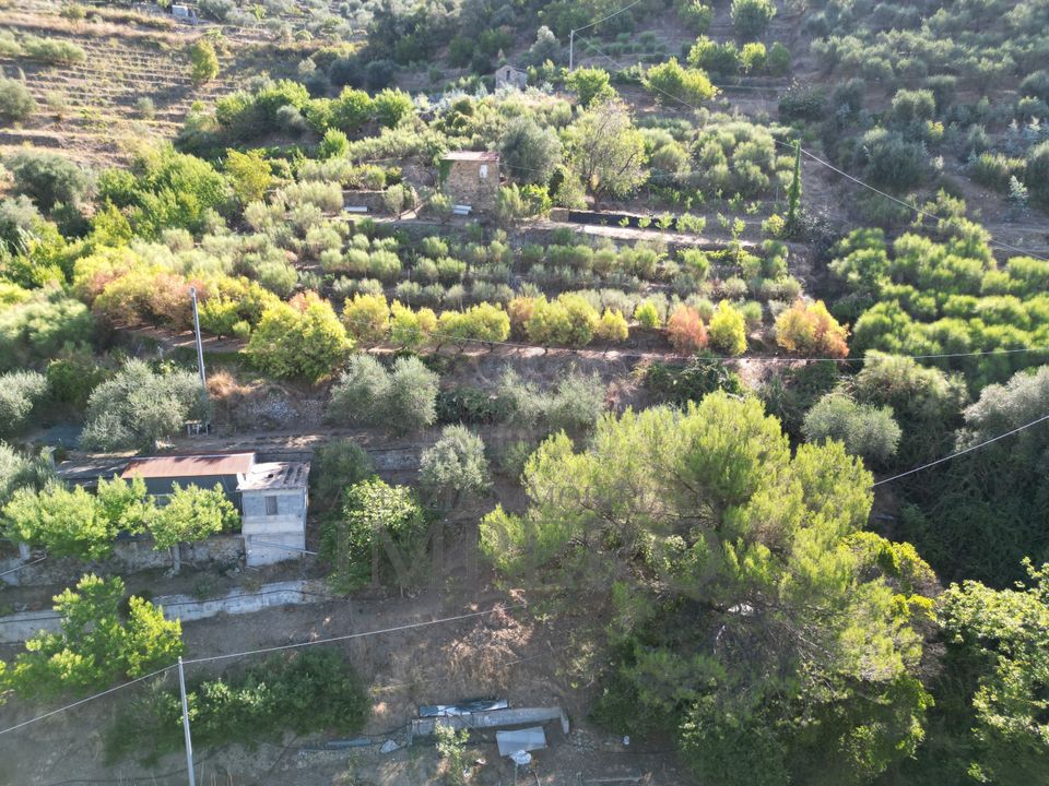 Erhvervsejendom i San Biagio della Cima, Imperia - foto 5