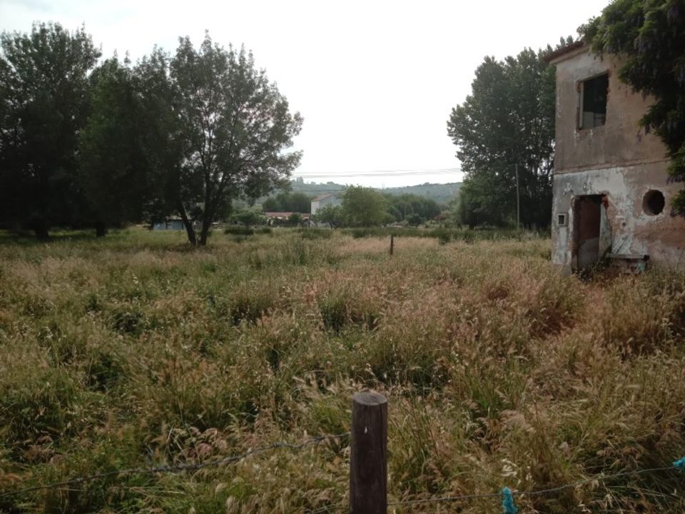 Gård i Abrantes, Santarem - bilde 3