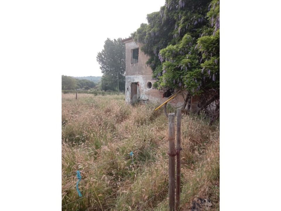 Gård i Abrantes, Santarem - bilde 4