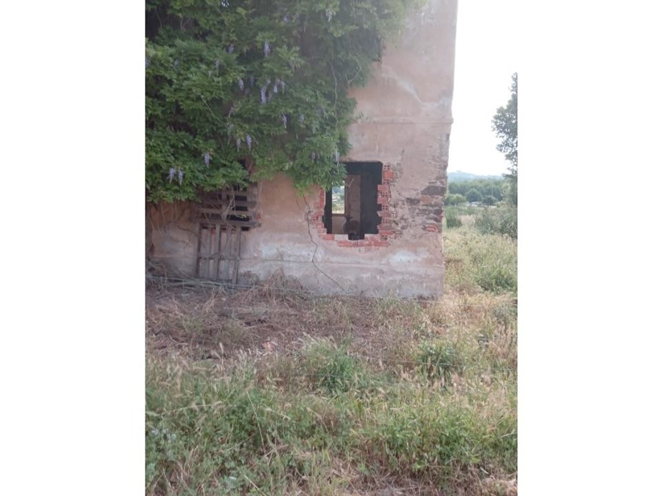 Gård i Abrantes, Santarem - bilde 5