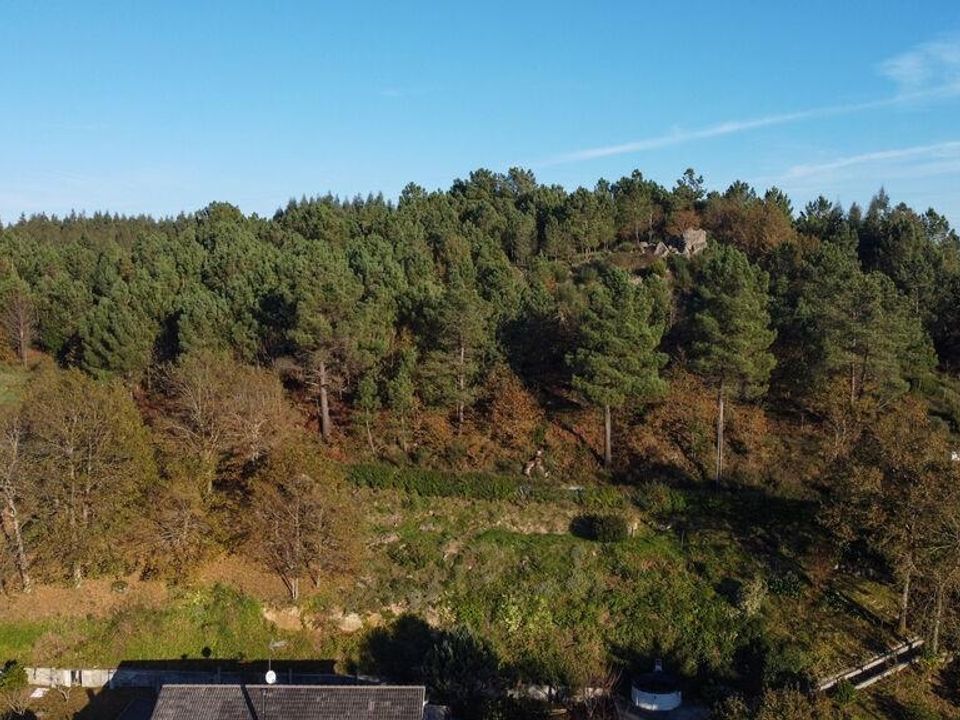 Helårsgrund i Castro Daire, Viseu - foto 3