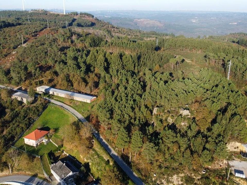 Helårsgrund i Castro Daire, Viseu - foto 4