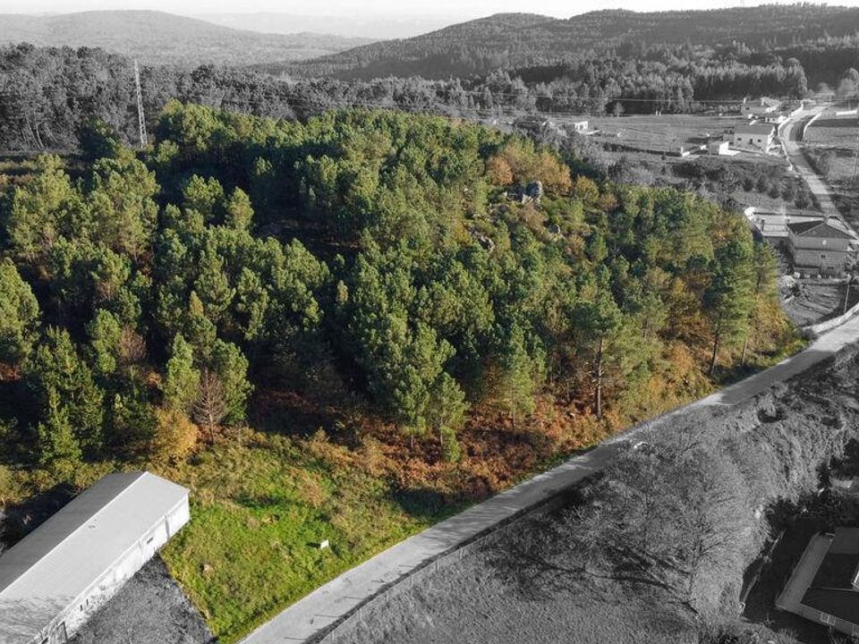Helårsgrund i Castro Daire, Viseu - foto 5