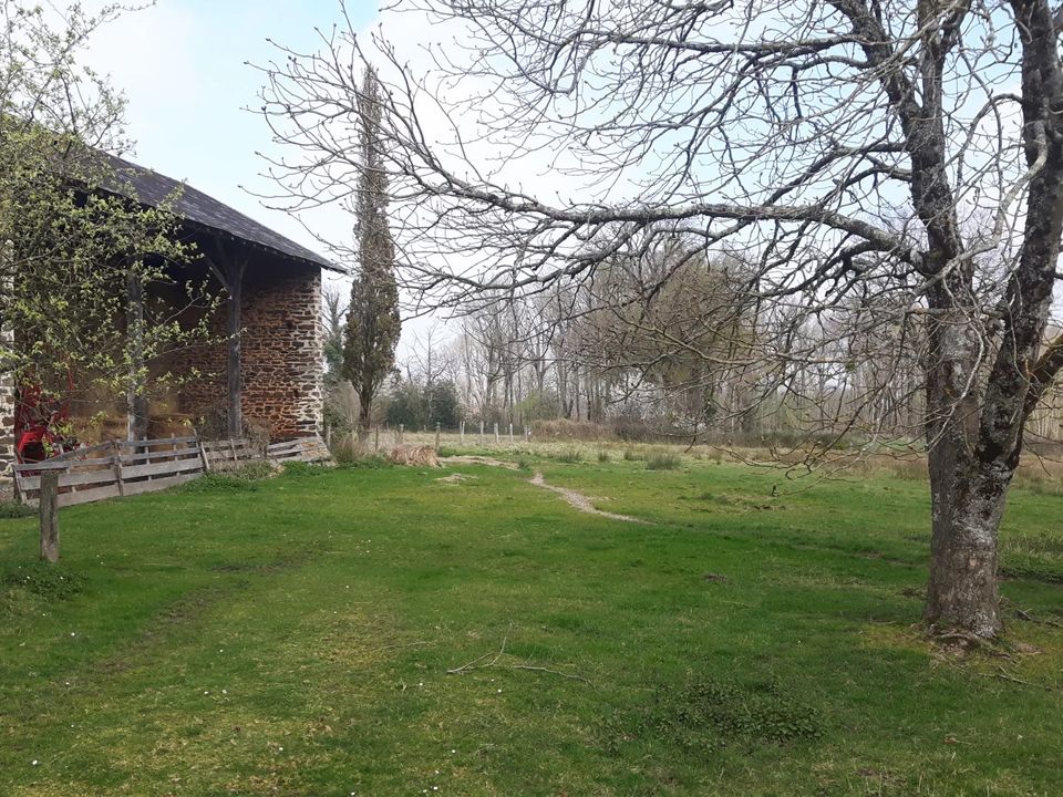 Villa i Bussiere-Poitevine, Haute-Vienne - foto 4