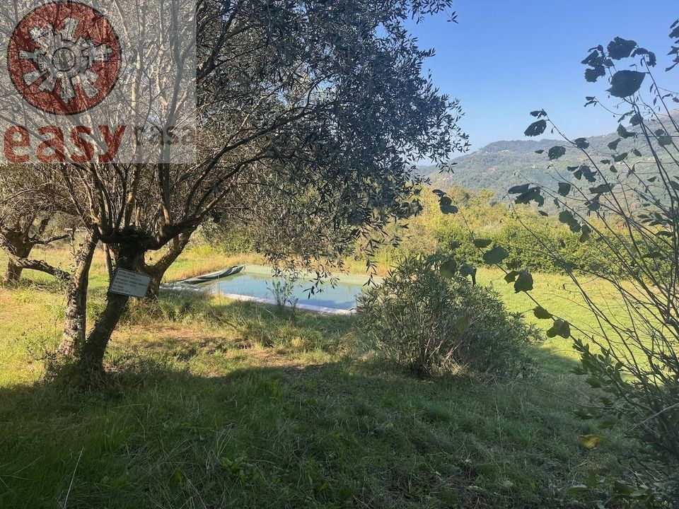 Masia a Lucca, Lucca - foto 2