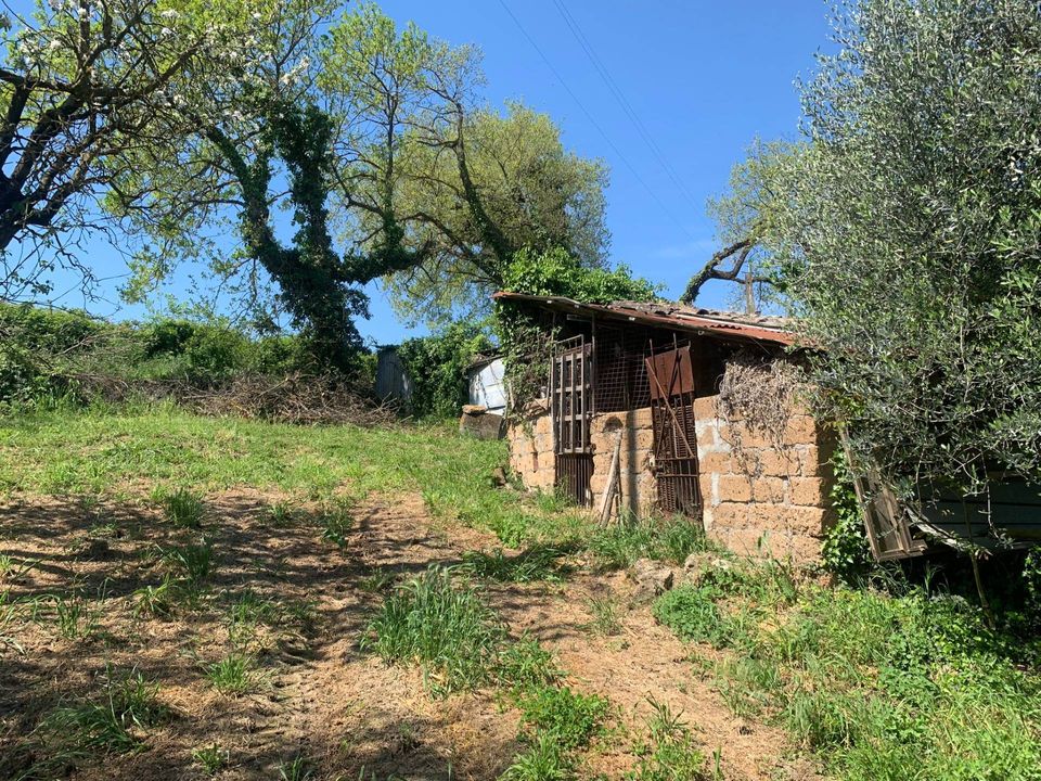 Landejendom i Graffignano, Viterbo - foto 3