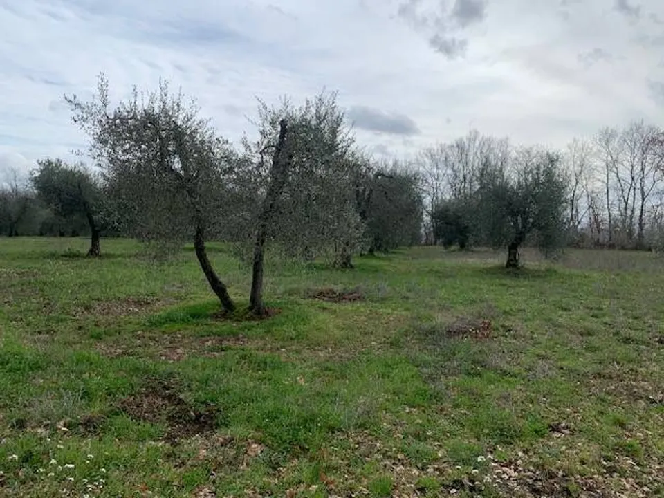 Helårsgrund i Graffignano, Viterbo - foto 1