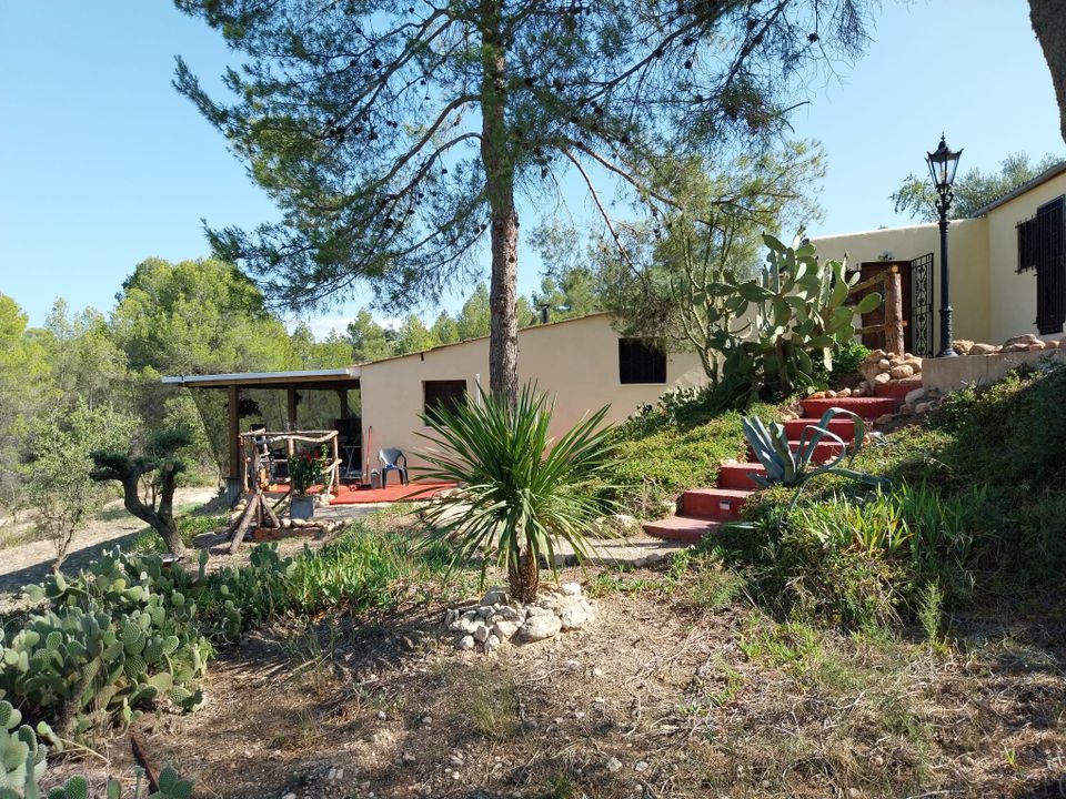 Herregård i Tivissa, Tarragona - bilde 1
