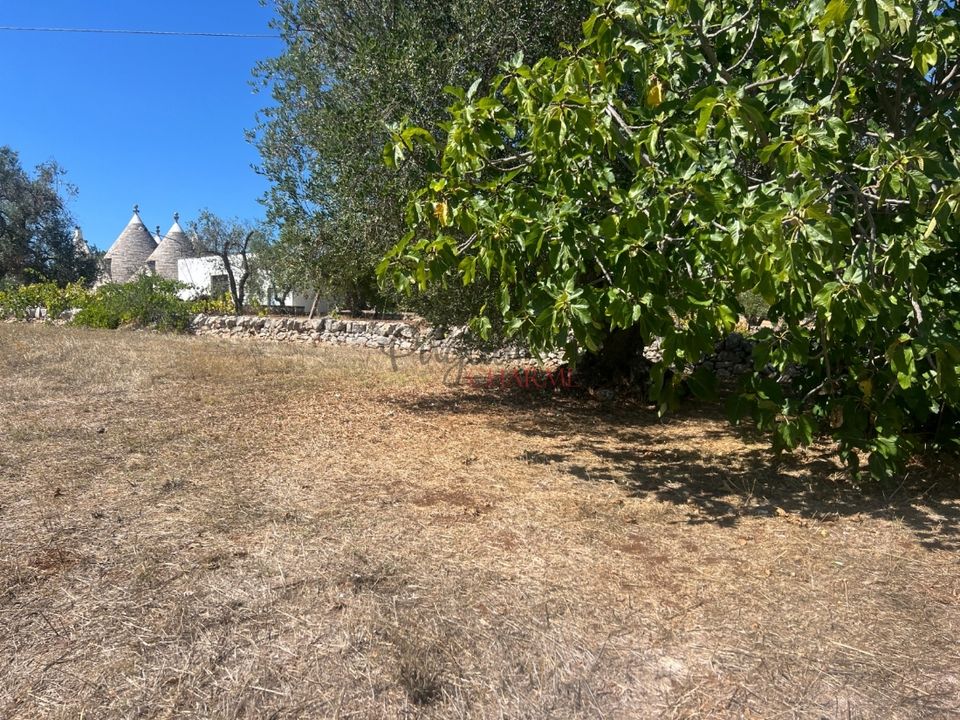 Cave house i Cisternino, Brindisi - bilde 5