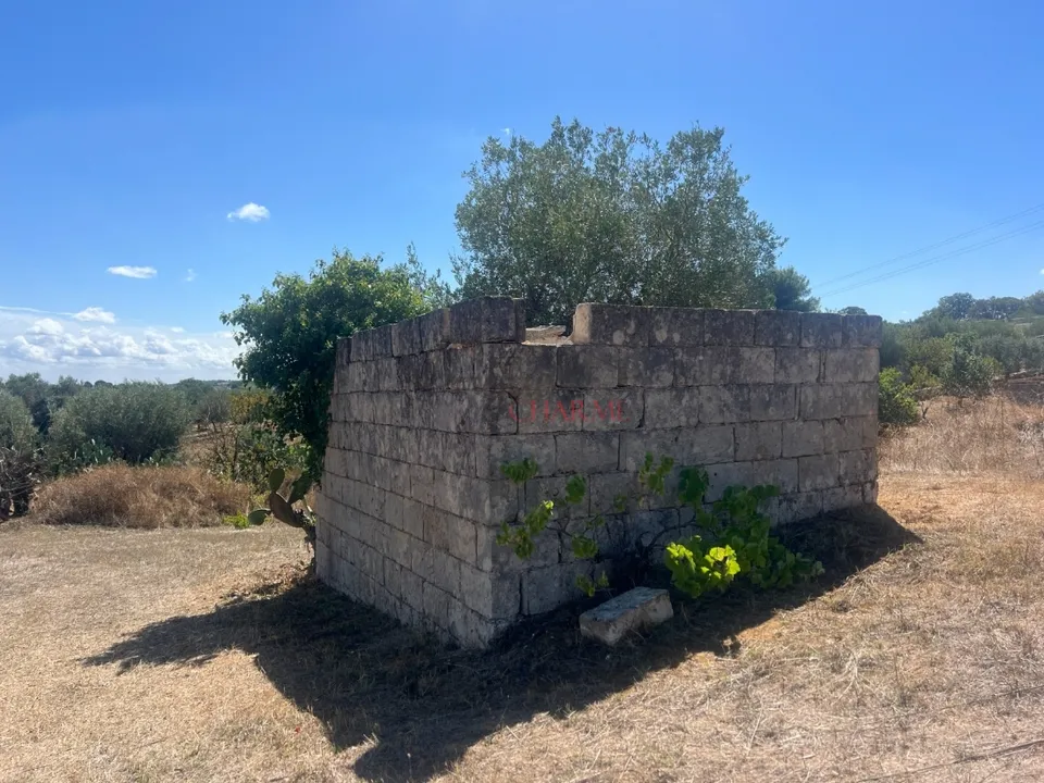 Cave house i Cisternino, Brindisi - bilde 2