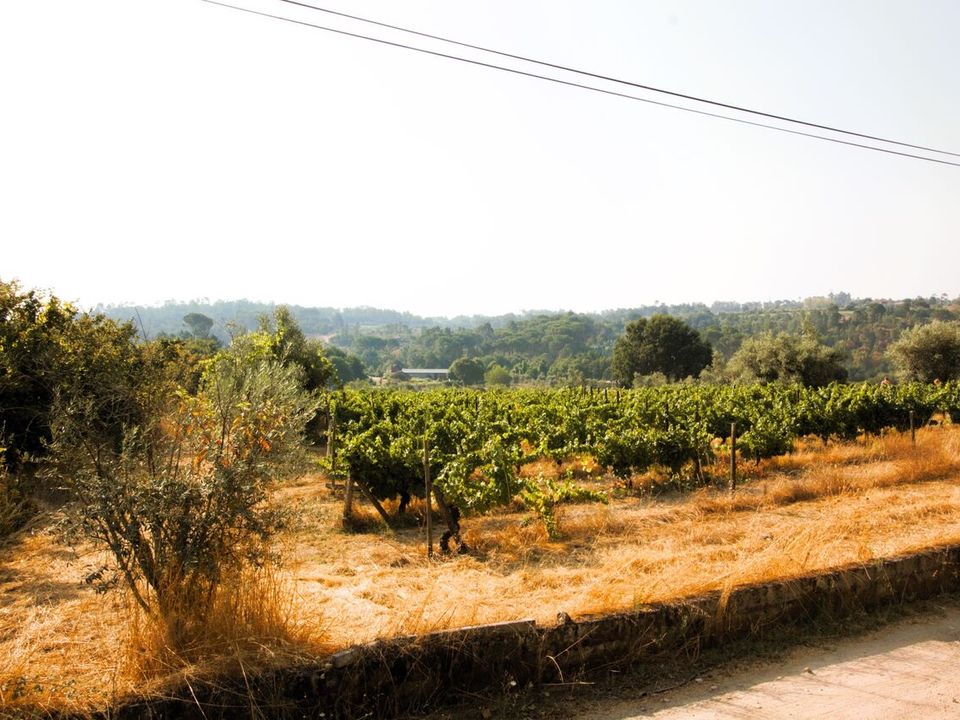 Helårsgrund i Vilar seco, Viseu - foto 5