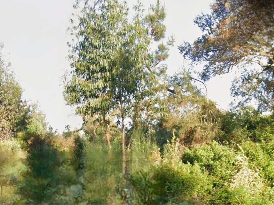 Helårsgrund i Sardoal, Santarem - foto 5