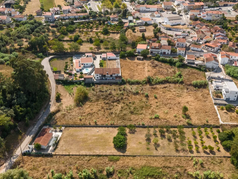 Tomt i Condeixa-a-Nova, Coimbra - bilde 2