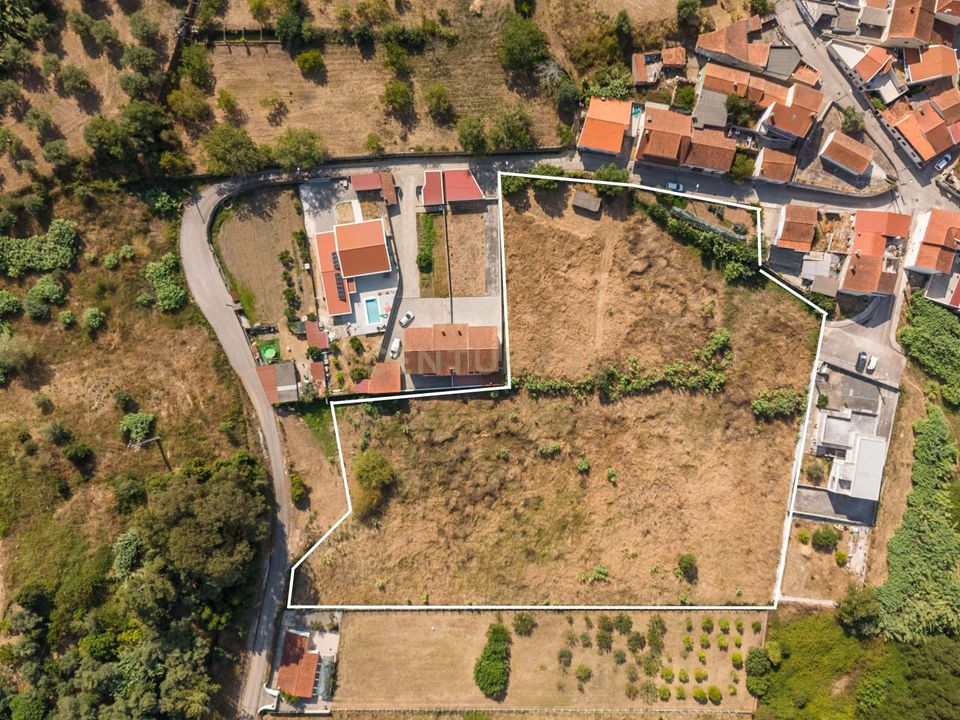Tomt i Condeixa-a-Nova, Coimbra - bilde 5