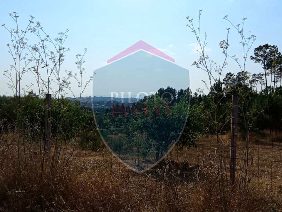 Helårsgrund i Viseu, Viseu - foto 2