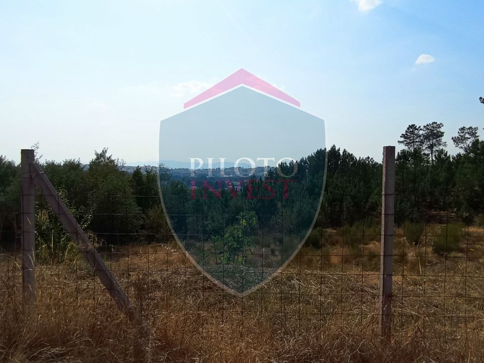 Helårsgrund i Viseu, Viseu - foto 3