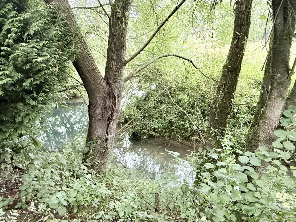 Helårsgrund i Tôtes, Seine-Maritime - foto 2