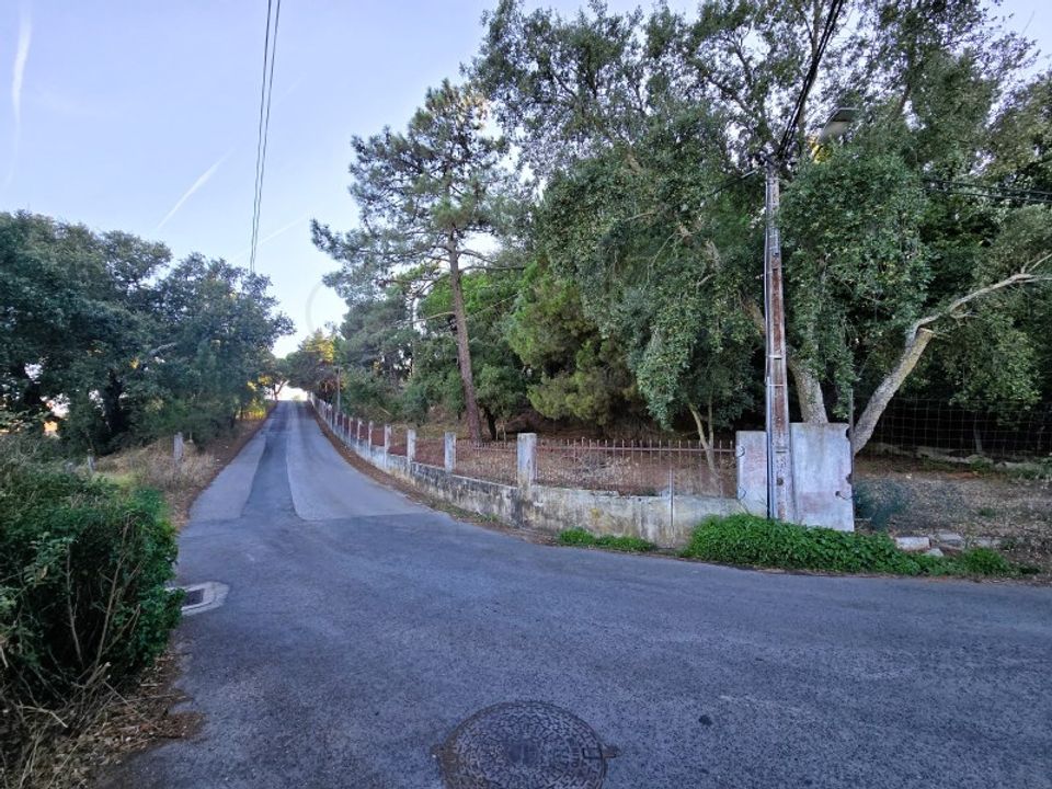 Helårsgrund i Palmela, Setubal - foto 5
