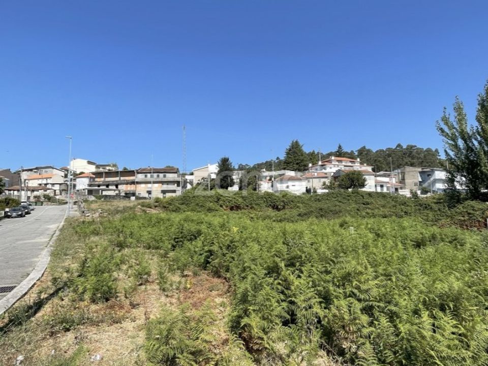 Terra a Frazao arreigada, Porto - foto 2