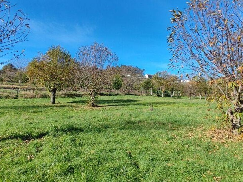 Helårsgrund i Castro Daire, Viseu - foto 2