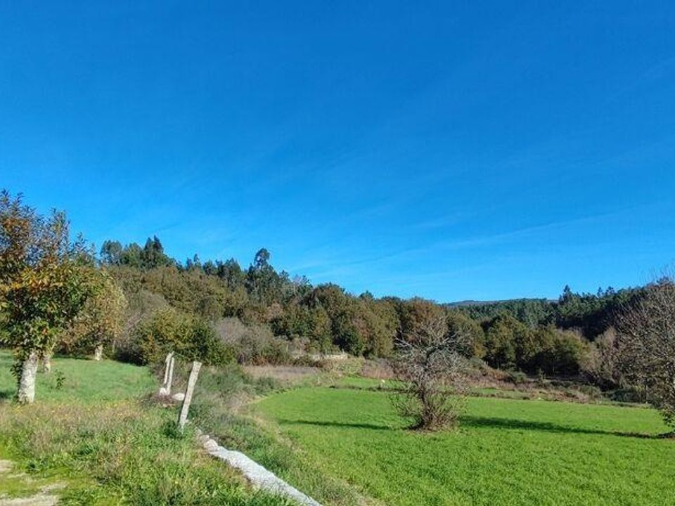 Helårsgrund i Castro Daire, Viseu - foto 5