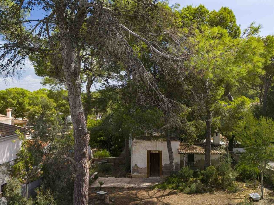 Helårsgrund i El Toro, Mallorca - foto 4