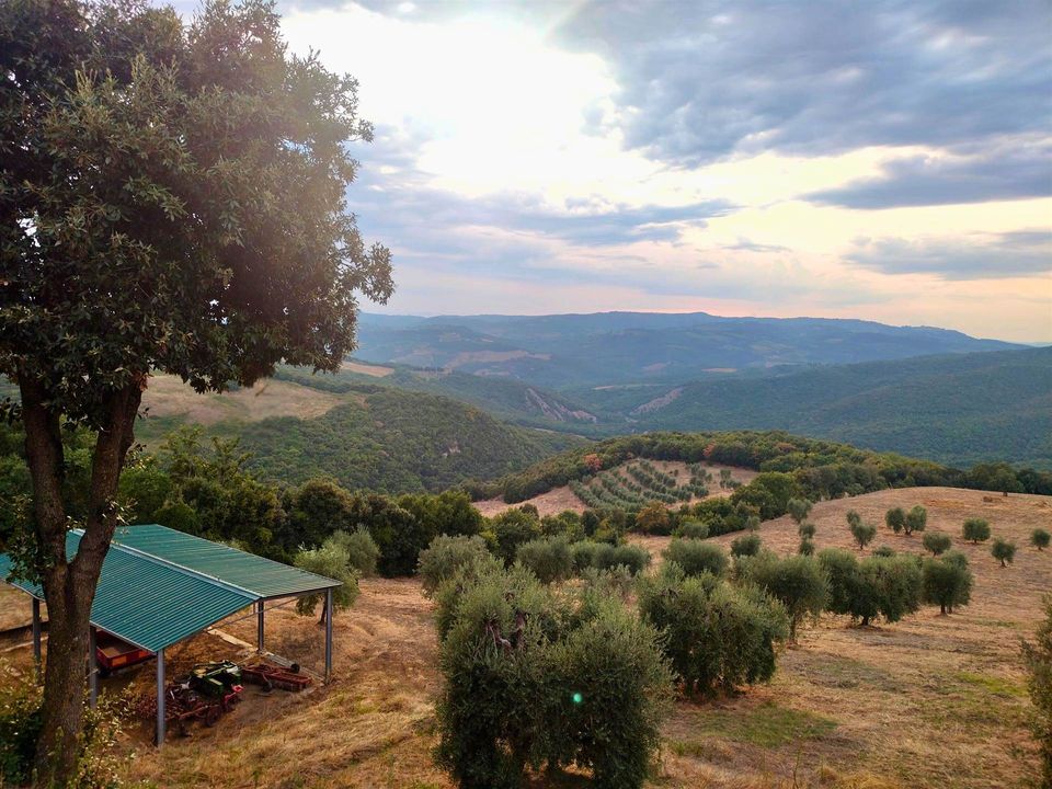Farm hus i Castiglione d'Orcia, Siena - foto 1
