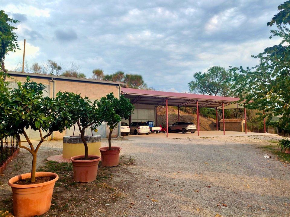 Farm hus i Castiglione d'Orcia, Siena - foto 4