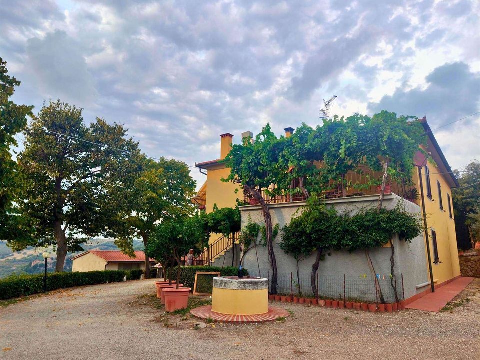 Farm hus i Castiglione d'Orcia, Siena - foto 5