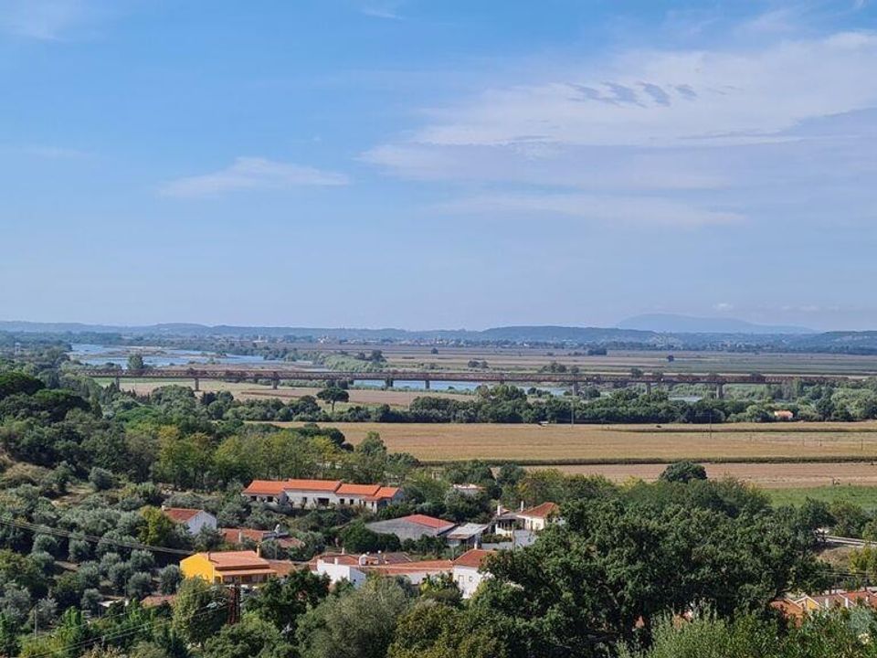 Działka: Chamusca, Santarem – zdjęcie 1
