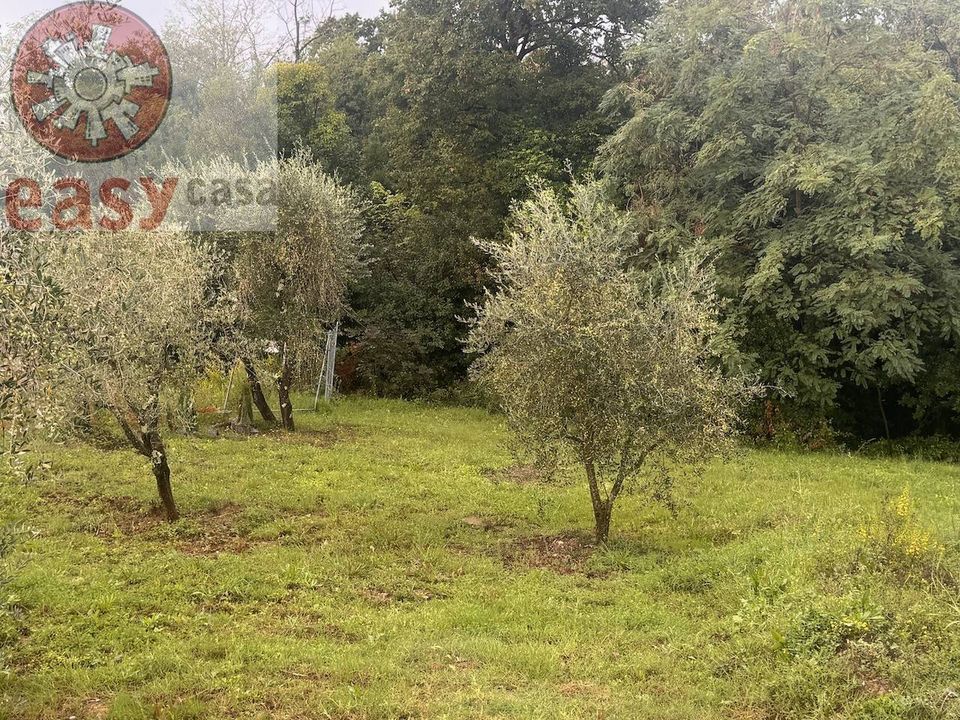 Villa i Capannori, Lucca - foto 2