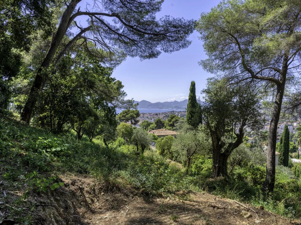 Terra a Cannes, Alpes-Maritimes - foto 5