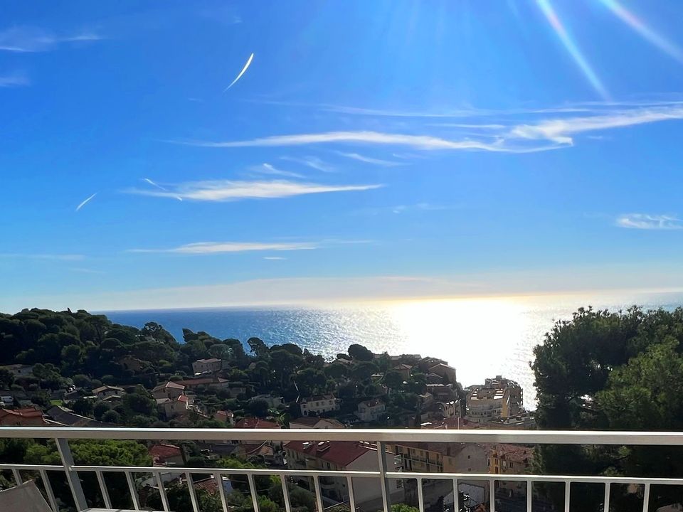Villa i Cap-d'Ail, Alpes-Maritimes - foto 4
