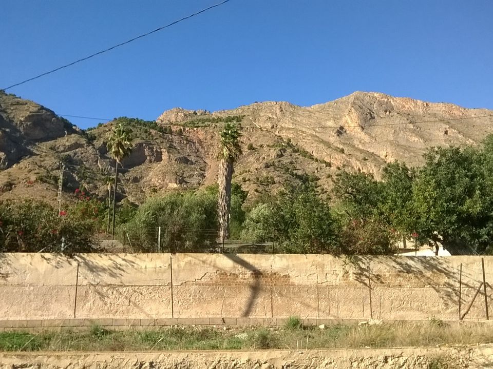 Finca i Orihuela, Alicante - bilde 2