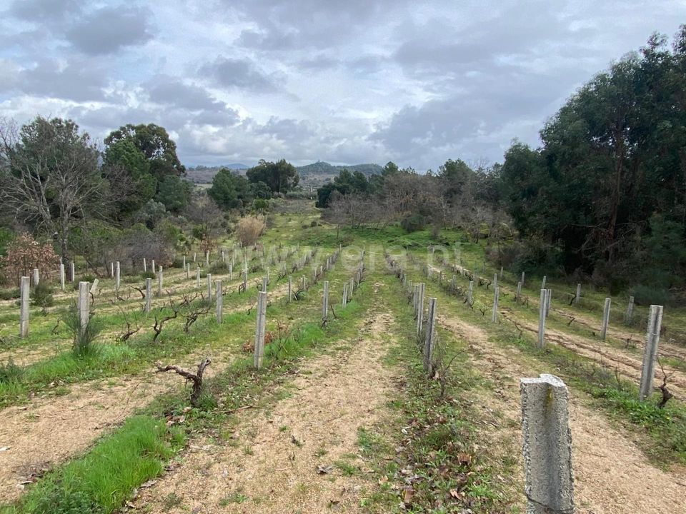 Landejendom i Penamacor, Castelo Branco - foto 1
