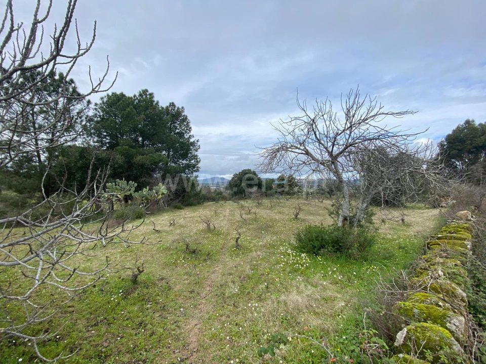 Landejendom i Penamacor, Castelo Branco - foto 5