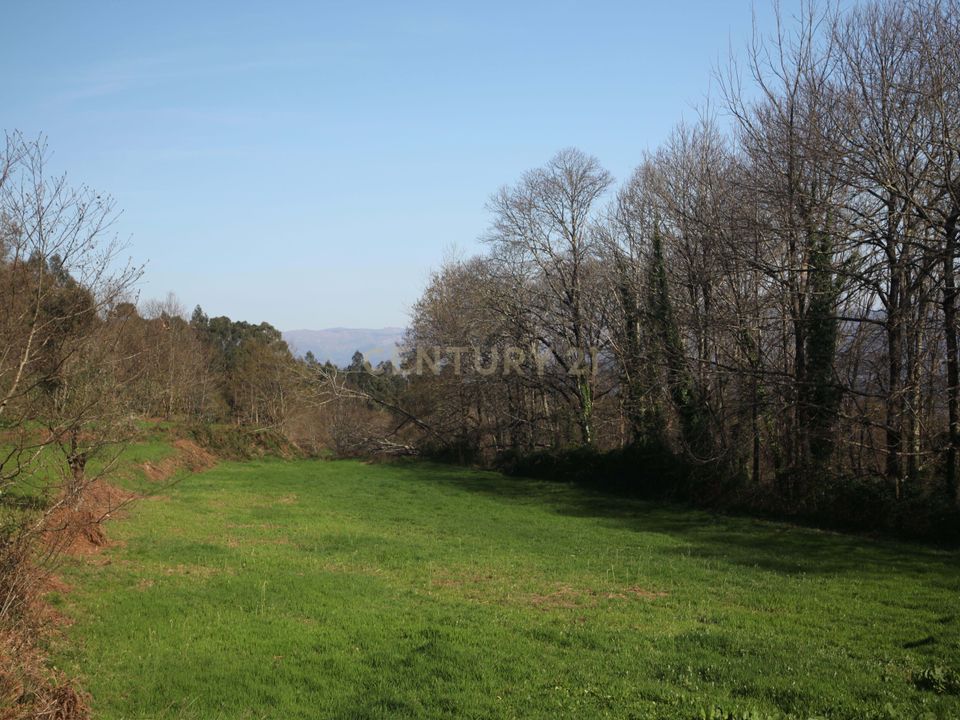 Villa i Celorico de Basto, Braga - foto 3