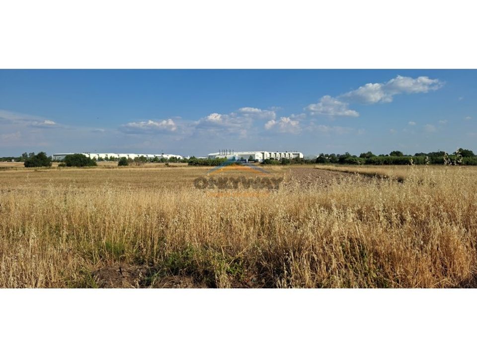Erhvervsejendom i Evora, Evora - foto 3