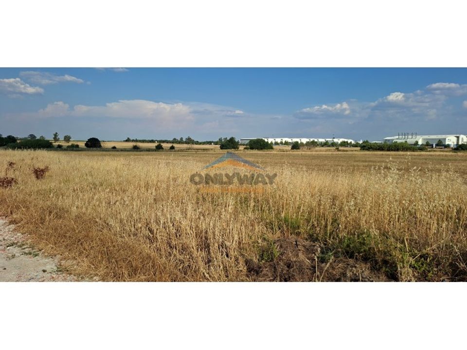 Erhvervsejendom i Evora, Evora - foto 4
