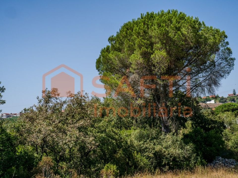 Helårsgrund i Aljubarrota, Leiria - foto 3