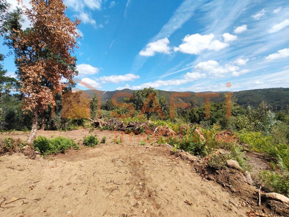 Terreno en Alvaiazere, Leiria - foto 3