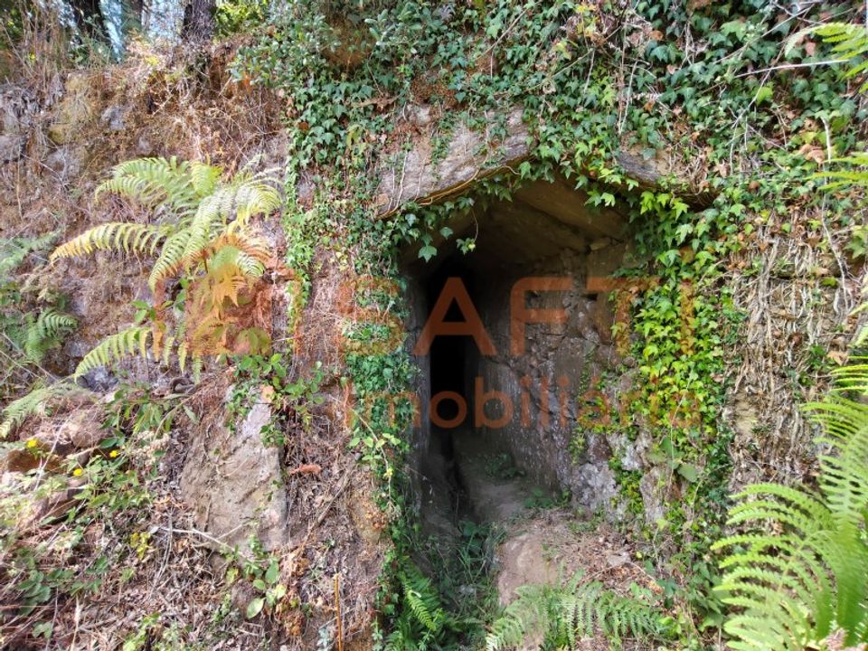 Terreno en Alvaiazere, Leiria - foto 4