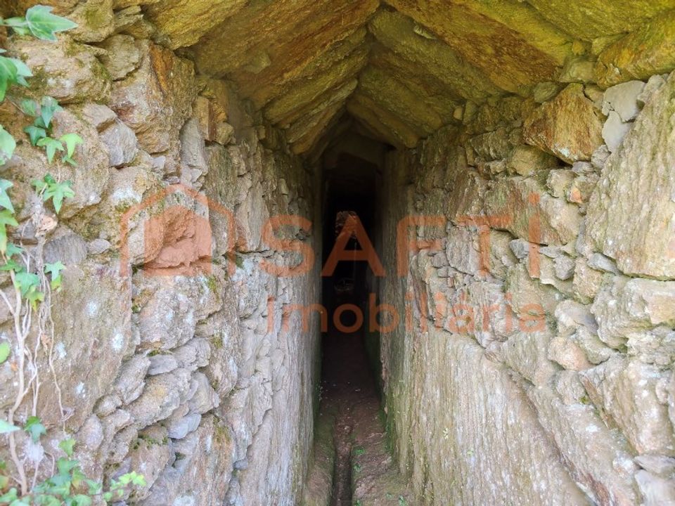 Terreno en Alvaiazere, Leiria - foto 5