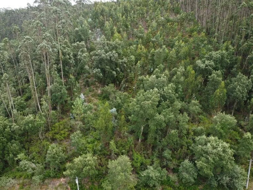 Terreno en Pombal, Leiria - foto 1
