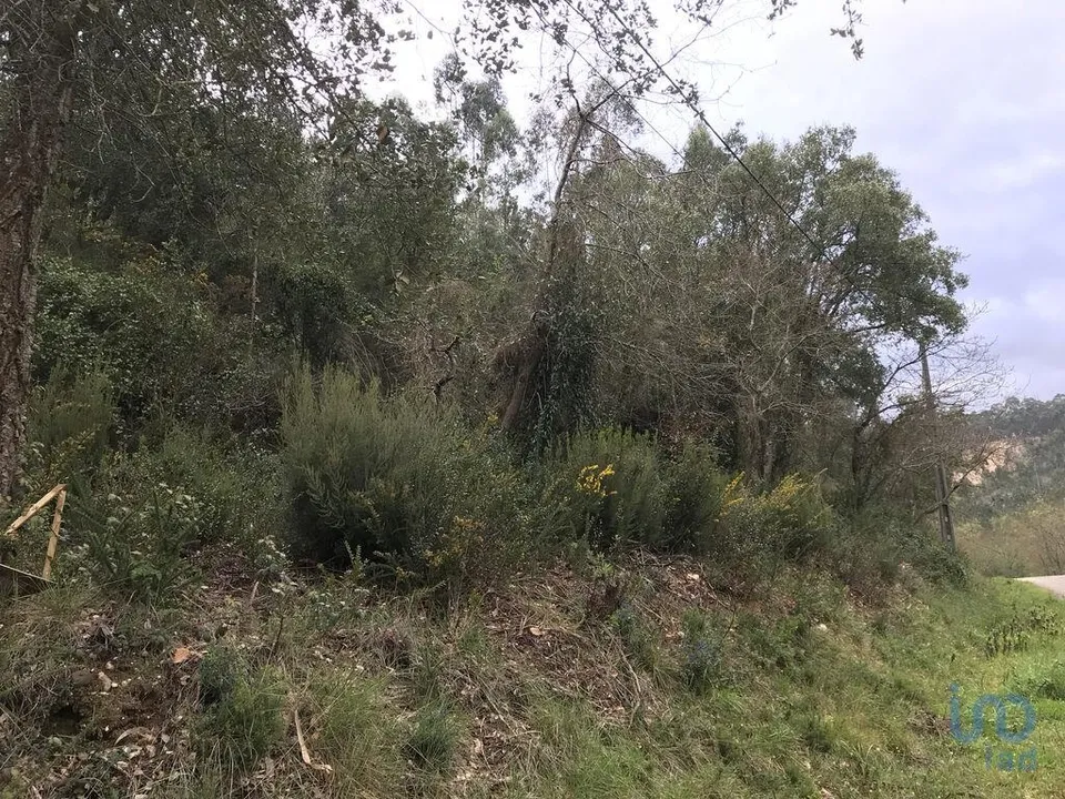 Terreno en Pombal, Leiria - foto 3